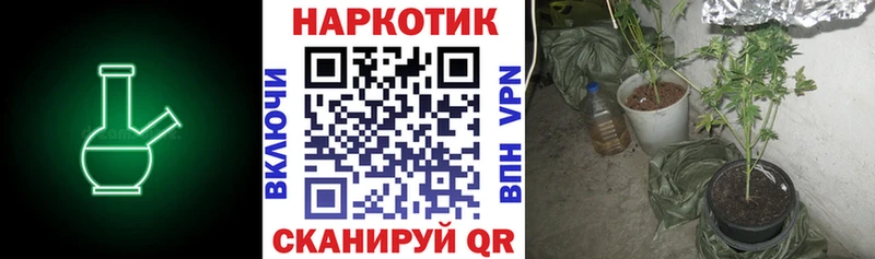 Купить наркотики Суджа Метамфетамин  Мефедрон  COCAIN  hydra как войти  Псилоцибиновые грибы 