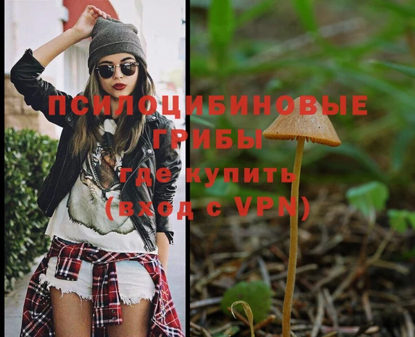 экстази Алексеевка