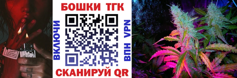 Бошки Шишки планчик  Суджа 